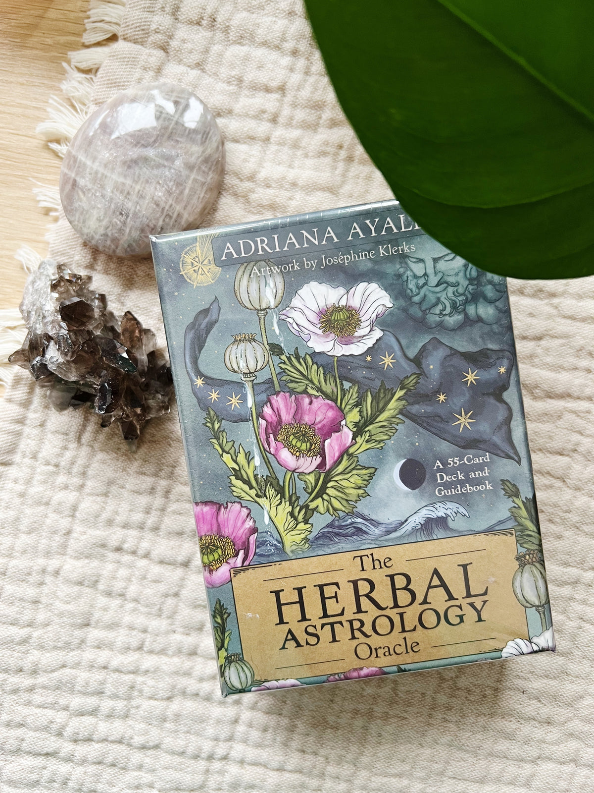 The Herbal Astrology Orakelkort