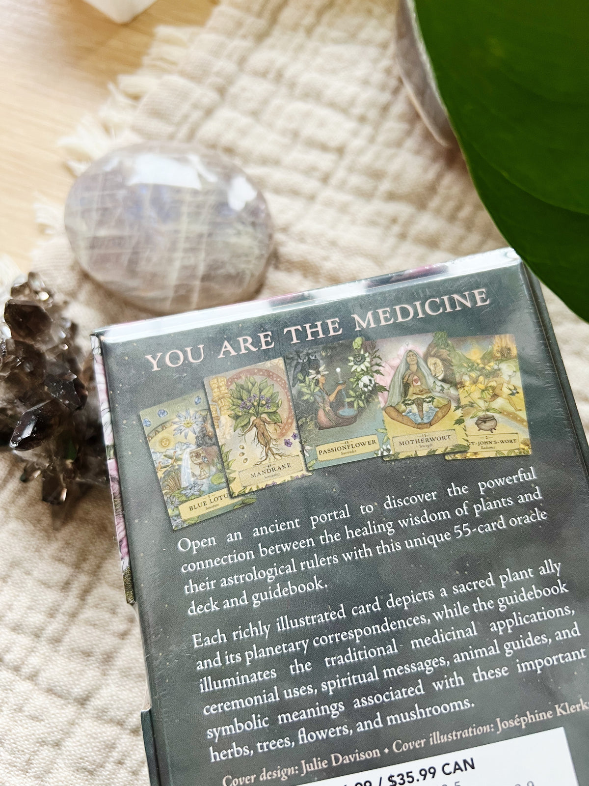 The Herbal Astrology Orakelkort