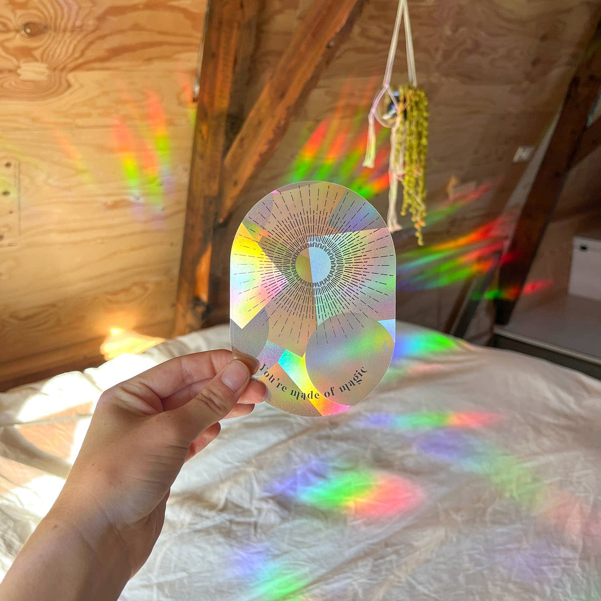 Suncatcher  - You're made of magic