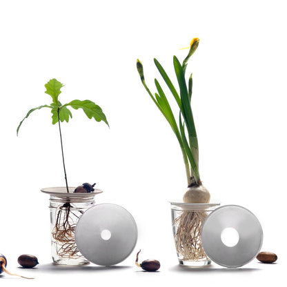 Deluxe Gavesett - Spiring & Formering i Vann