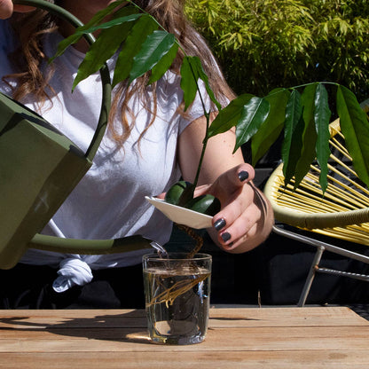 Deluxe Gavesett - Spiring & Formering i Vann