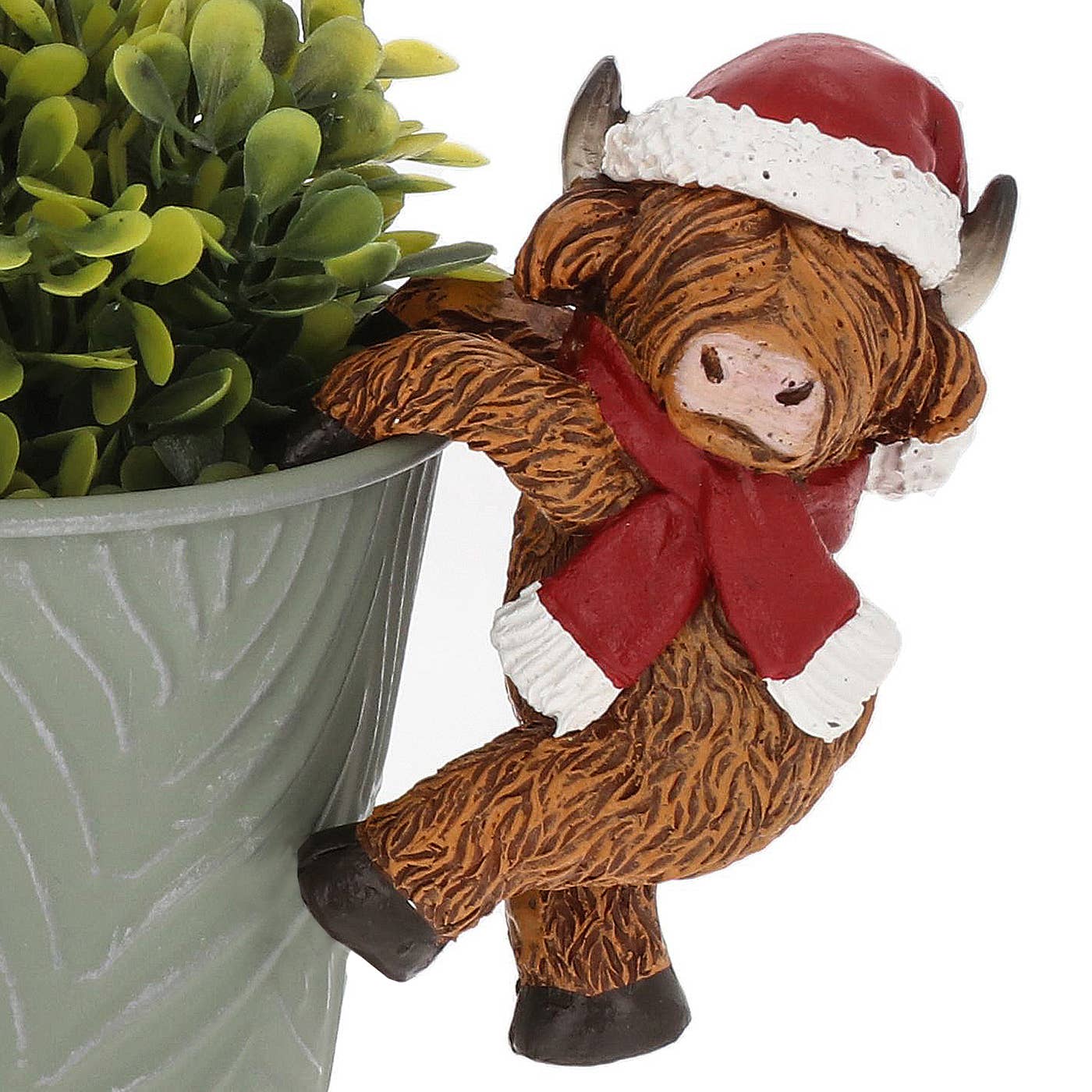 Happy Highland kuer – Plante-henger