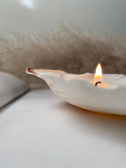 Sea Shell Candle