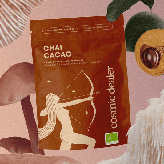 Chai Kakao med Medisinsk Sopp - Lion's Mane, Reishi & Maitake (120g)