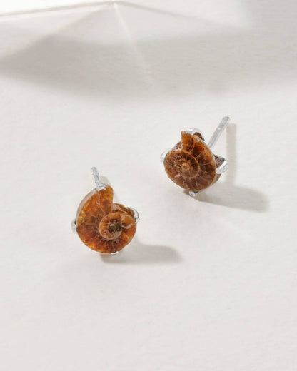 Ammonite Øredobber