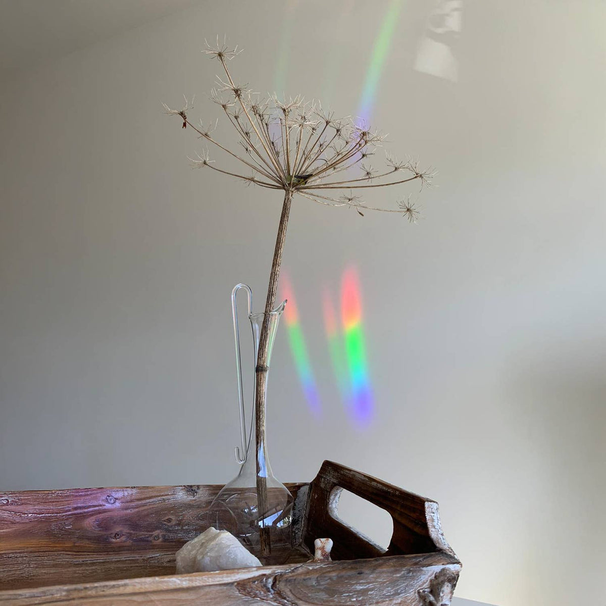 Suncatcher - Keep going to keep growing