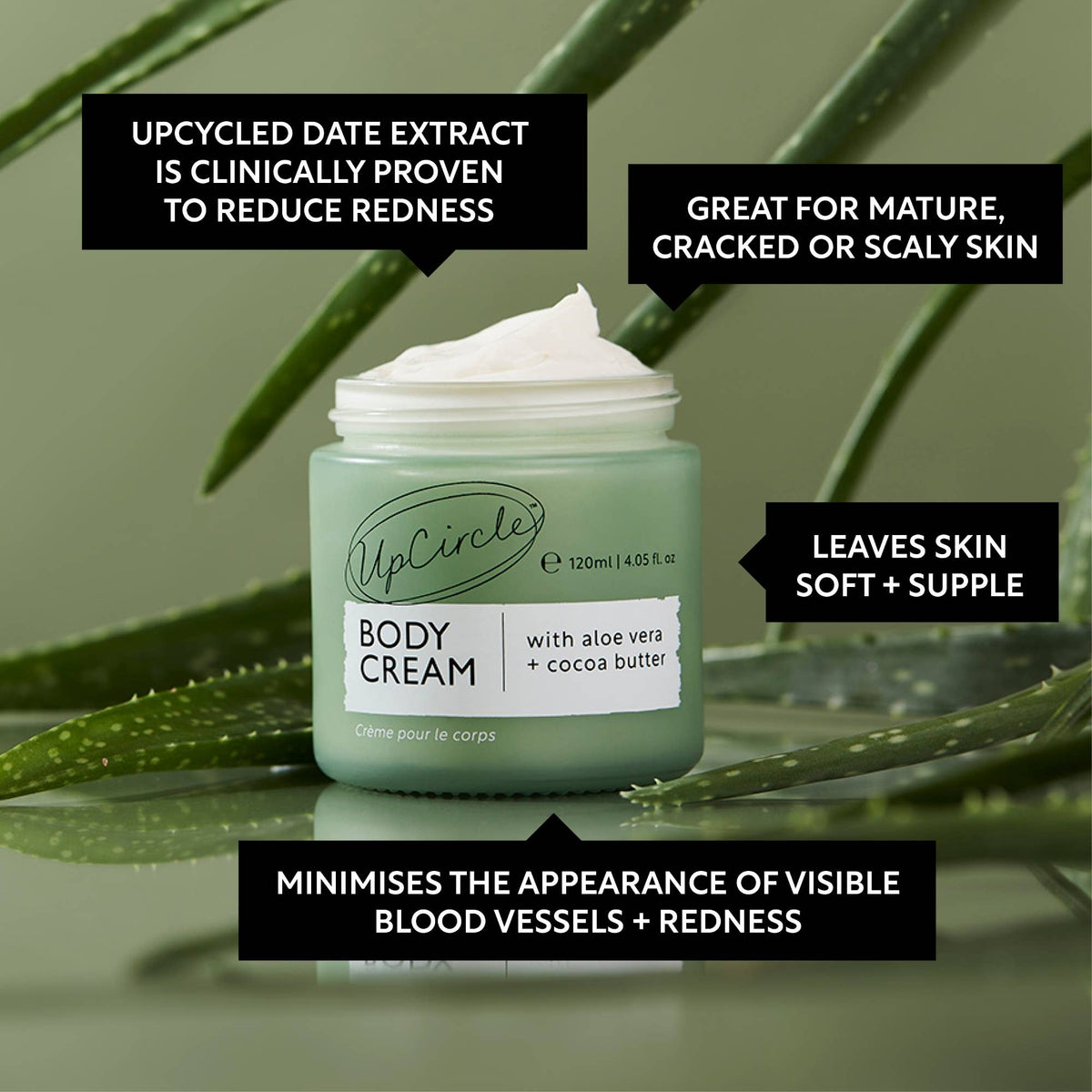 Body Cream med Aloe Vera & Cocoa Butter