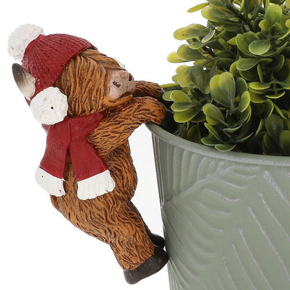 Happy Highland kuer – Plante-henger