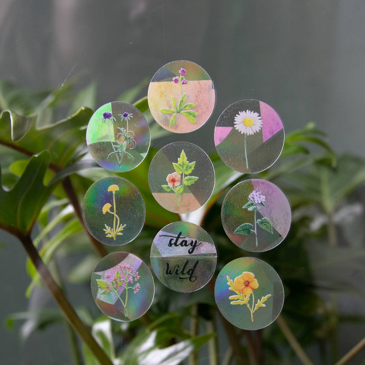 Suncatcher - Stay Wild (8 mini)