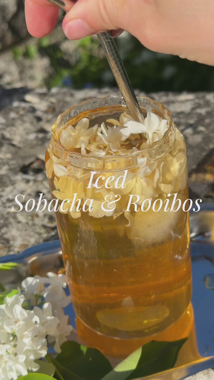 Sobacha & Rooibos - She slept for 100 Years - 12 teposer